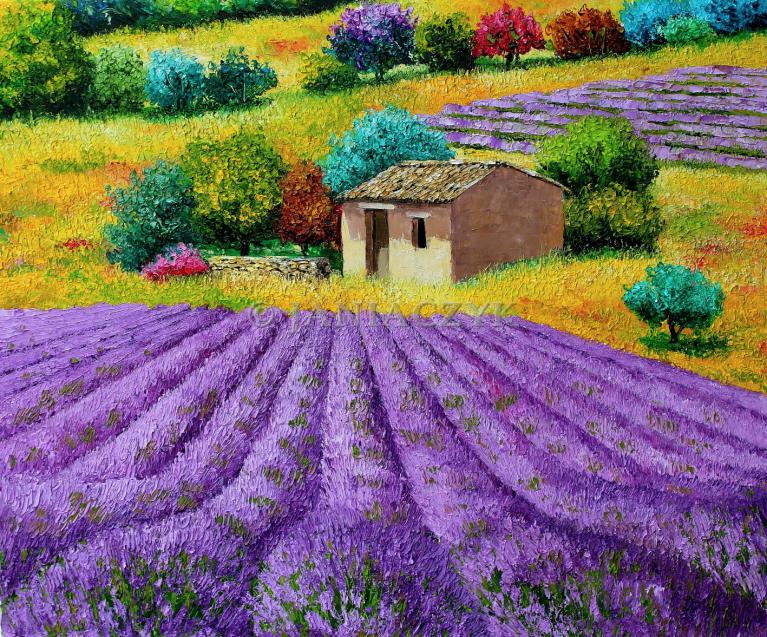 Lavender hill 55x46 cm