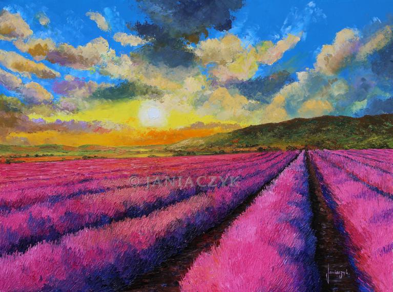Sunset over the lavender 80x60 cm