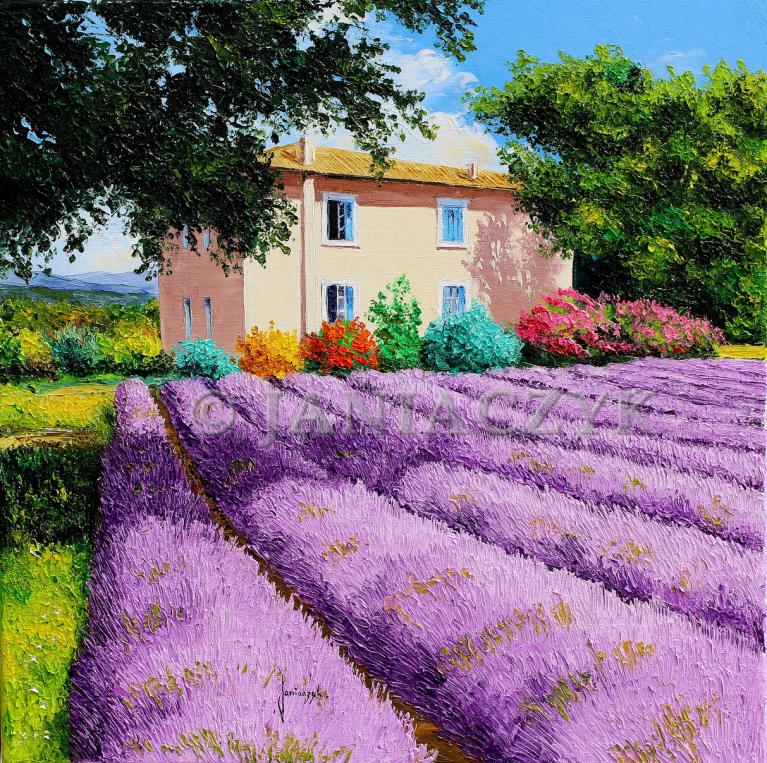 View of the lavender field 50x50 cm